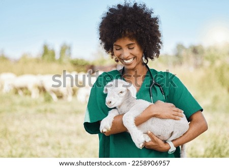 Veterinary, farm and woman holding sheep on livestock field for medical animal checkup. Happy, smile and female vet doctor doing consultation on lamb in agro, sustainable and agriculture countryside.