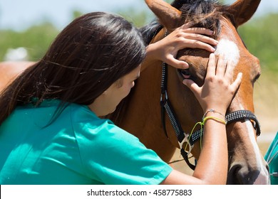 Veterinary horses on the farm conducting a review in one eye - Powered by Shutterstock