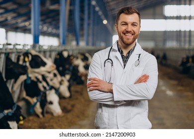 Veterinary In Lab Robe Standing At Cowshed