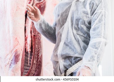 Veterinary at meat inspection in slaughterhouse - Powered by Shutterstock