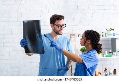 Veterinary Radiology Concept. Vet Doc With Assistant Studying Animal Xray In Clinic