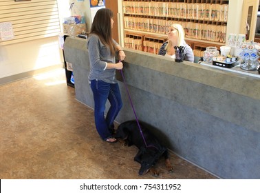 Veterinary Reception Desk