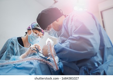 A Veterinary Student Gains Experience In The Operating Room. Doctors With Surgical Tools In Hands Making Surgery. Health Care Or Veterinary Care Concept.