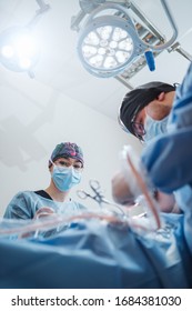 A Veterinary Student Gains Experience In The Operating Room. Doctors With Surgical Tools In Hands Making Surgery. Health Care Or Veterinary Care Concept.