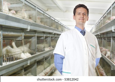 Veterinary Surgeon On Eggs And Chicken Factory Farm