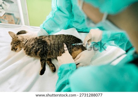 Veterinary Team Administering Injection to Cat On Exam Table During Medical Procedure