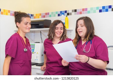 Veterinary Team Writing Prescription