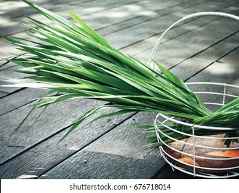 Vetiver