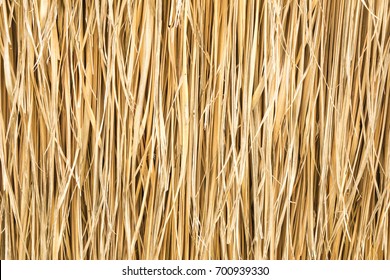 Close Yellow Straw Wall Texture Background Stock Photo 419762338 ...