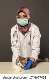 Vets concept, Cute Malay Woman wearing hijab holding a cat