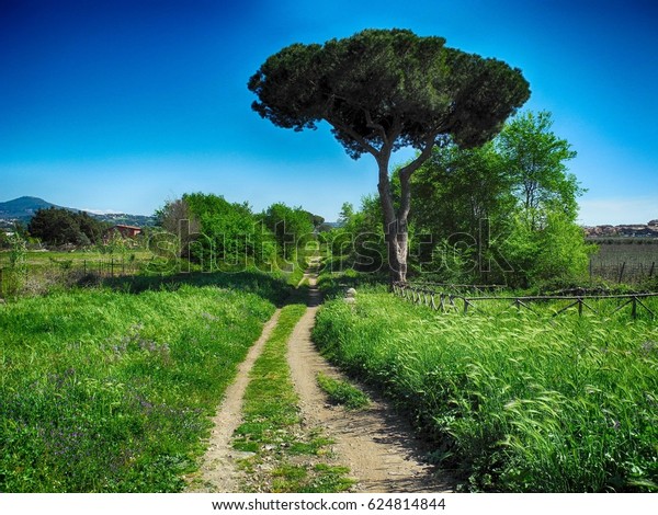 Via Appia Antica Roma Stock Photo Edit Now 624814844