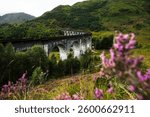 Viaduct near Fort William, Scotland. Heather in the foreground.