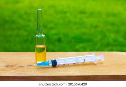 Vials And Syringe On A Background Of Green Grass. Vaccination And Immunization. Protection Against Coronavirus. Herd Immunity Medicine Concept