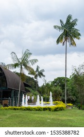 VIANOPOLIS - BETIM, MINAS GERAIS / BRAZIL - JANUARY 2, 2016: The garden located at the side of food court with some palm trees and a fountain inside Vale Verde - Alembic and Ecological Park.
