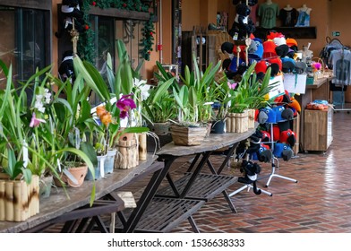 VIANOPOLIS - BETIM, MINAS GERAIS / BRAZIL - JANUARY 2, 2016: The gift shop displaying plants, stuffed animals, clothing and souvenirs for selling inside the big shed in Vale Verde Park.
