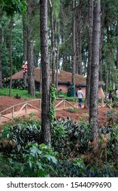 VIANOPOLIS - BETIM, MINAS GERAIS / BRAZIL - JANUARY 2, 2016: The Master's Grove (Bosque do Mestre). This is one of the many tourist attractions of Vale Verde - Alembic and Ecological Park.