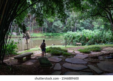 VIANOPOLIS - BETIM, MINAS GERAIS / BRAZIL - JAN 2, 2016: A beaultiful, peaceful and calm place for relax in the middle of the woods near one of the lakes of Vale Verde - Alembic and Ecological Park.
