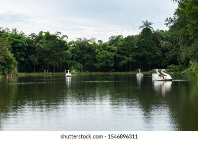 VIANOPOLIS - BETIM, MINAS GERAIS / BRAZIL - JANUARY 2, 2016: Visitors sailing in pedal boats in one of the lakes of Vale Verde - Alembic and Ecological Park.