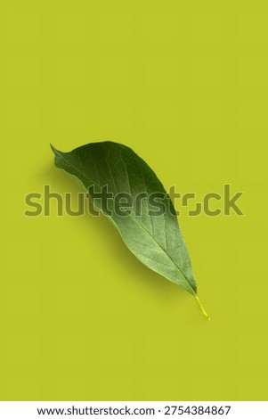 Vibrance of a Single Leaf