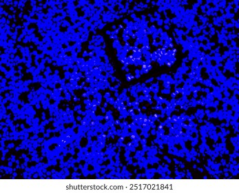 Vibrant abstract image featuring a dynamic pattern of blue particles on a dark background, creating a sense of movement and energy.