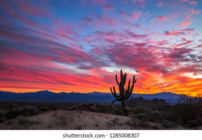 Vibrant Arizona sunrise with funky Sagauro cactus at Toms Thumb trailhead in the McDowell Sonoran Preserve in North Scottsdale, AZ. 