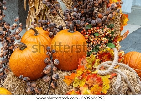 Vibrant arrangement featuring pumpkins, autumn leaves, berries, and hay. Captures the essence of the fall harvest season with an inviting and colorful natural display.