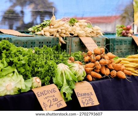 A vibrant array of fresh vegetables on display at a local farmer's market stall