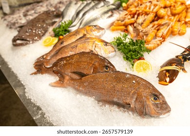 A vibrant array of fresh whole fish, prawns, and lobster are expertly displayed on a bed of ice, garnished with lemon and parsley. This image captures the freshness and quality of seafood available at