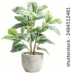 Vibrant artificial potted plant with realistic green leaves, perfect for home or office decoration and low maintenance interior design. transparent backgrounds