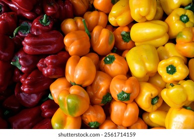 Vibrant assortment of fresh bell peppers in red, orange, and yellow hues organized attractively. Highlights the natural beauty and freshness of produce, perfect for concepts involving healthy eating.