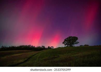 Vibrant aurora borealis illuminates the night sky over a serene grassy hill with silhouetted trees. - Powered by Shutterstock