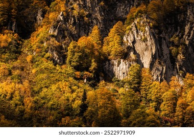 Vibrant autumn foliage blankets rugged cliffs in a serene natural landscape at golden hour. Golden autumn leaves adorn rocky cliffs in a tranquil setting, showcasing the beauty of nature. - Powered by Shutterstock