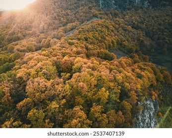 Vibrant Autumn Forest Landscape with Golden Foliage in Rolling Hills at Sunset – Aerial View - Powered by Shutterstock