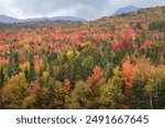 Vibrant autumn hues in White Mountain National Forest of New Hampshire. Scenic view of distant mountains and tree lined hillside carpeted with evergreen trees and colorful fall foliage.