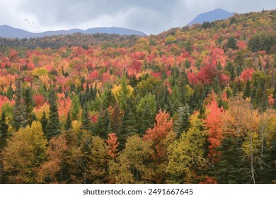 Vibrant autumn hues in White Mountain National Forest of New Hampshire. Scenic view of distant mountains and tree lined hillside carpeted with evergreen trees and colorful fall foliage. - Powered by Shutterstock