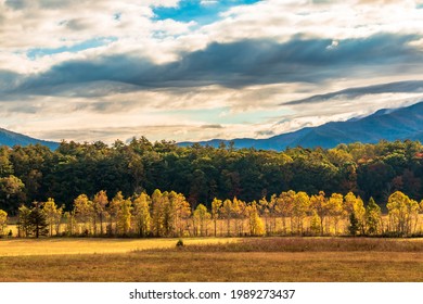 Vibrant Autumn Landscape Taken In Cades Cove Valley In The Great Smoky Mountain National Park In Tennessee.	