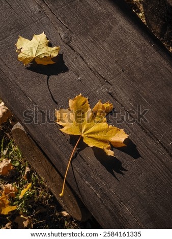 Similar – Image, Stock Photo A weathered wooden bench in front of a yellow painted wall