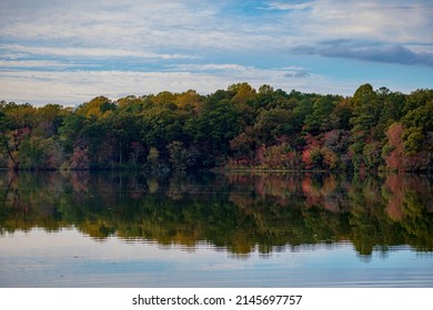 Vibrant Autumn Still Water Reflection 