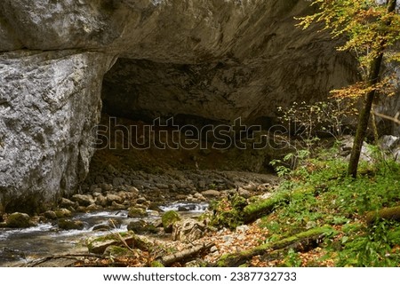 Vibrant autumnal landscape of a large cave entrance with a river flowing through it