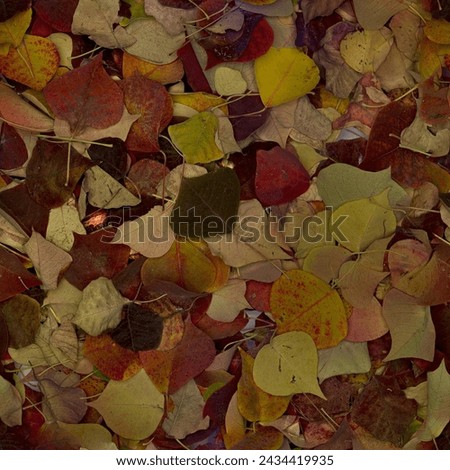 vibrant beauty of autumn with a multitude of fallen leaves covering the ground. The leaves, in a variety of colors including red