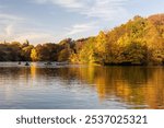 Vibrant beauty of Central Park in October, showcasing the radiant hues of fall foliage. serene landscape of golden, amber, and crimson leaves, highlighting the stunning seasonal transformation.