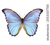 Vibrant blue butterfly with delicate wings. Blue butterfly on display. Butterfly wings showcase a stunning blue hue. Blue butterfly in natural beauty. Animal illustration isolated on white background.