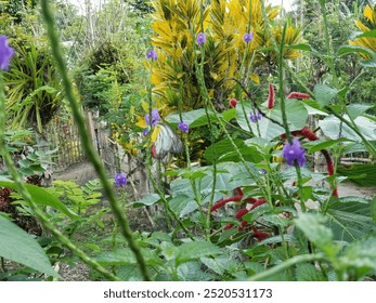 A vibrant butterfly with black, white, and orange wings sits on a purple flower in a lush green tropical garden. - Powered by Shutterstock