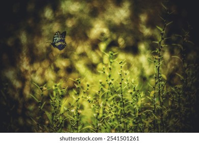 A vibrant butterfly perched on a lush green shrubbery in a lush outdoor environment - Powered by Shutterstock