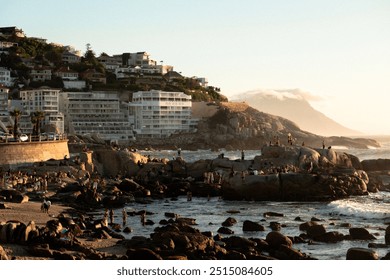 A vibrant Cape Town coastline at sunset, with rocky beaches, ocean waves, and residential buildings nestled against a mountain backdrop. Ideal for themes of travel, urban life, and coastal beauty. - Powered by Shutterstock