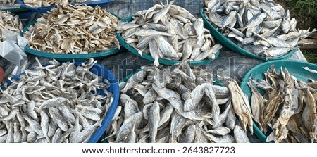 A vibrant close-up of assorted dried fish (ikan asin) sold in a traditional market, showcasing the textures and variety of local preserved seafood.