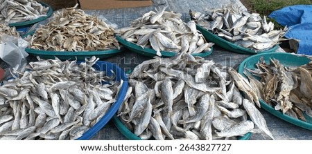 A vibrant close-up of assorted dried fish (ikan asin) sold in a traditional market, showcasing the textures and variety of local preserved seafood.