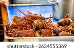 Vibrant close-up of freshly prepared European Lobsters (Homarus gammarus) piled in a metal tray, showcasing their rich red and brown shells. Ideal for culinary, seafood, and gourmet themes.