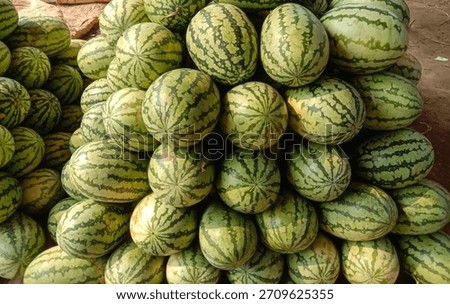 A vibrant close-up showcases a bountiful stack of unripe watermelons, their distinctive green stripes creating a visually appealing natural pattern. 