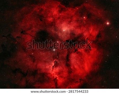 Vibrant clouds of interstellar gas and dust illuminate the darkness of space inside the Nebula, showcasing brilliant stellar clusters and gaseous formations.